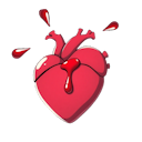 СЕРДЦЕ