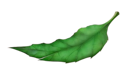 ЛИСТИК